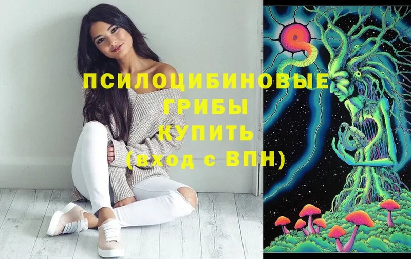 Псилоцибиновые грибы MAGIC MUSHROOMS  как найти закладки  Рыльск 